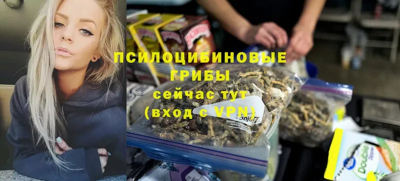 Псилоцибиновые грибы Cubensis  наркошоп  Орехово-Зуево 